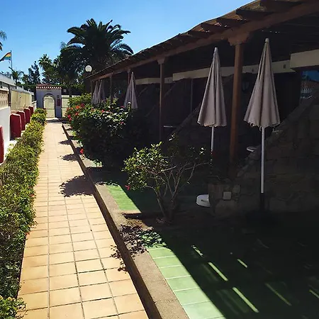 Gay Paso Chico - Gay Men Only *