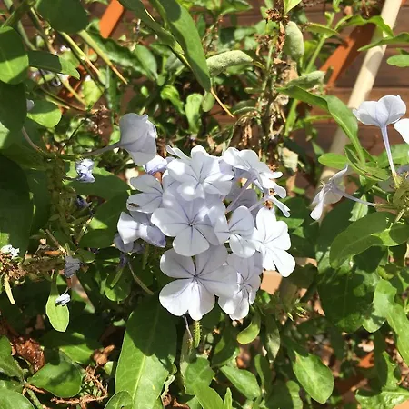 Gay Paso Chico - Gay Men Only