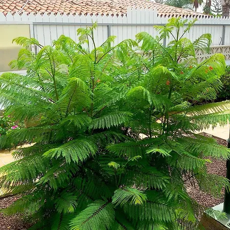 Daire Gay Paso Chico - Gay Men Only *